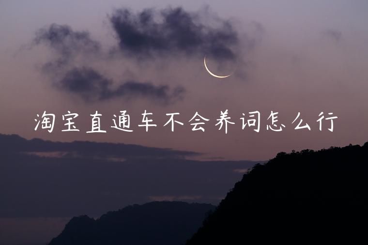 淘寶直通車不會(huì)養(yǎng)詞怎么行